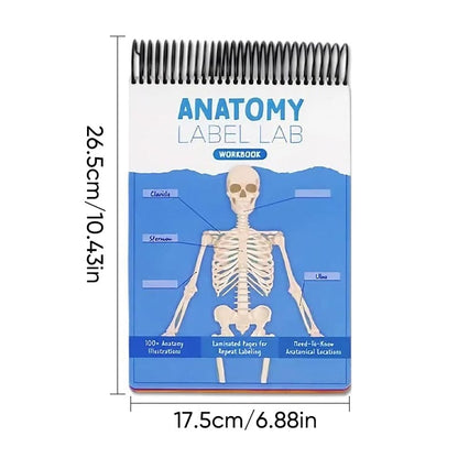 Anatomy Label Workbook