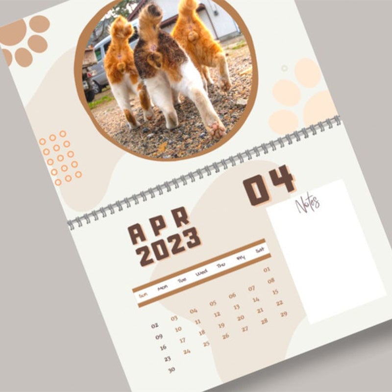 2023 Cats Buttholes-calendar