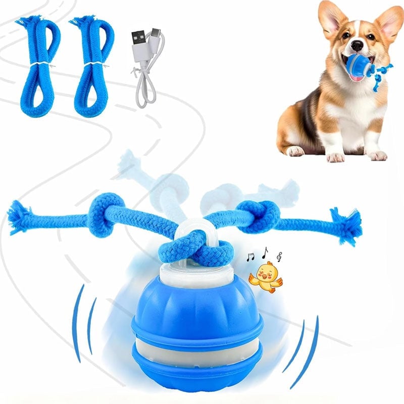 Interactive Smart Rolling Pet Ball