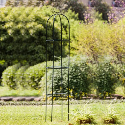 Garden Trellis for Climbing Plants