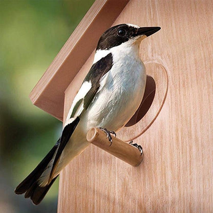 DIY Sucker Bird Nest