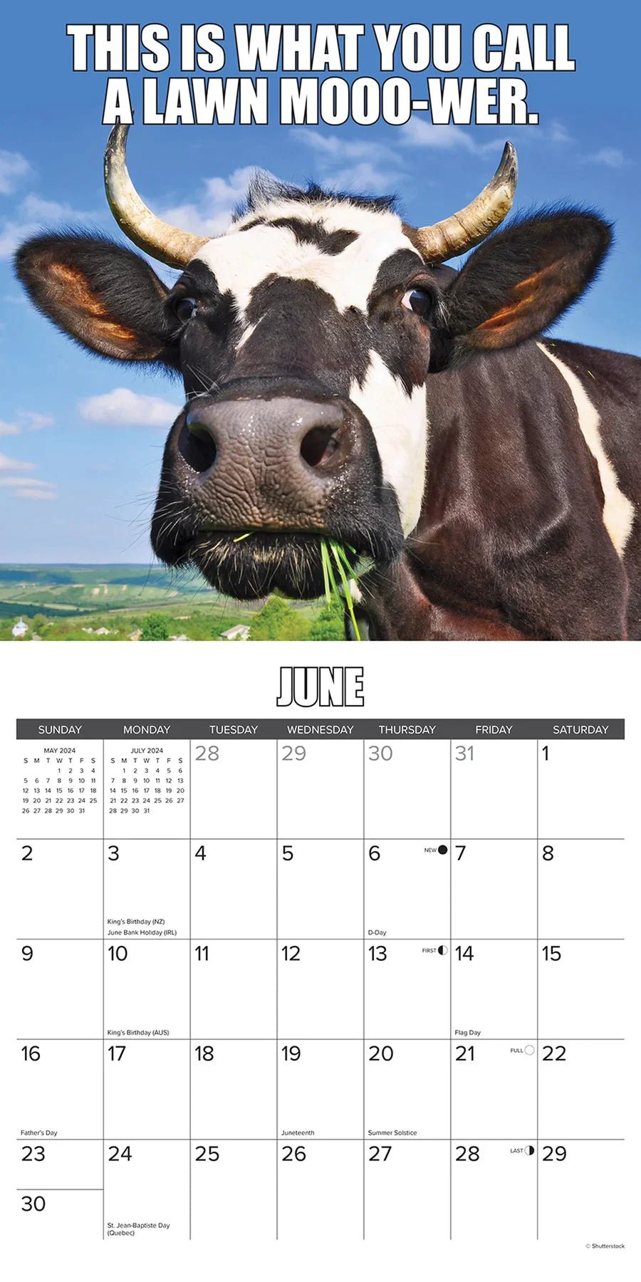 😂2024 Funny Animal Calendar | Inspired farm humor