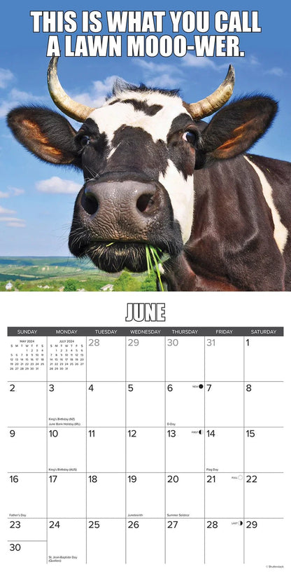 😂2024 Funny Animal Calendar | Inspired farm humor