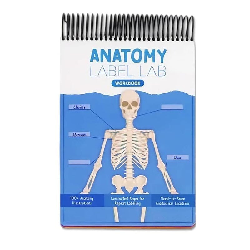 Anatomy Label Workbook