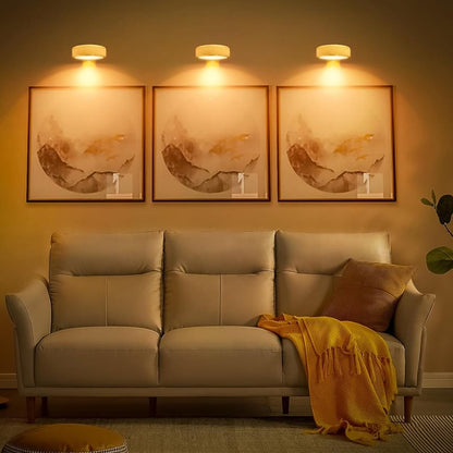 Picture Lights For Wall With 3 Color Temps - 3 Pack