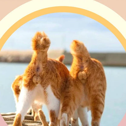 2023 Cats Buttholes-calendar