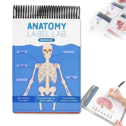 Anatomy Label Workbook